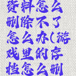 游戏里的资料怎么删除不了怎么办(游戏里的存档怎么删除)