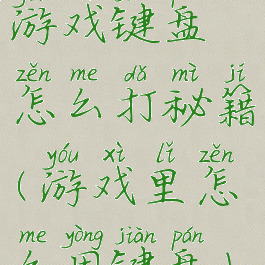 游戏键盘怎么打秘籍(游戏里怎么用键盘)