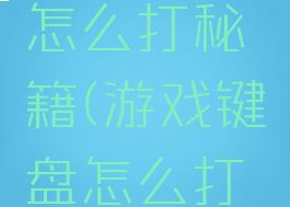 游戏键盘怎么打秘籍(游戏键盘怎么打秘籍符号)