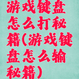 游戏键盘怎么打秘籍(游戏键盘怎么输秘籍)