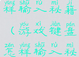 游戏键盘怎样输入秘籍(游戏键盘怎样输入秘籍键)