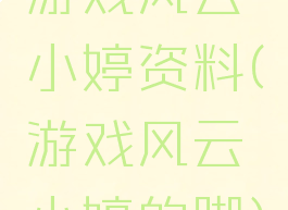 游戏风云小婷资料(游戏风云小婷的脚)