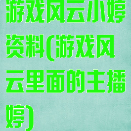 游戏风云小婷资料(游戏风云里面的主播婷)