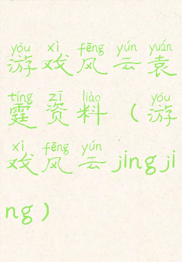 游戏风云袁霆资料(游戏风云jingjing)