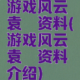 游戏风云袁霆资料(游戏风云袁霆资料介绍)