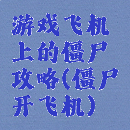 游戏飞机上的僵尸攻略(僵尸开飞机)