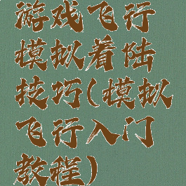 游戏飞行模拟着陆技巧(模拟飞行入门教程)