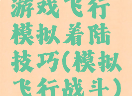 游戏飞行模拟着陆技巧(模拟飞行战斗)