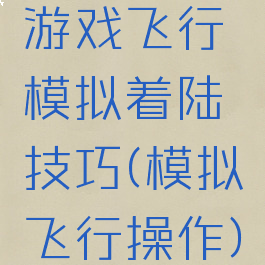 游戏飞行模拟着陆技巧(模拟飞行操作)