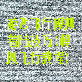 游戏飞行模拟着陆技巧(模拟飞行教程)