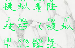 游戏飞行模拟着陆技巧(模拟飞行降落技巧)