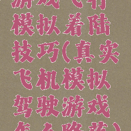 游戏飞行模拟着陆技巧(真实飞机模拟驾驶游戏怎么降落)