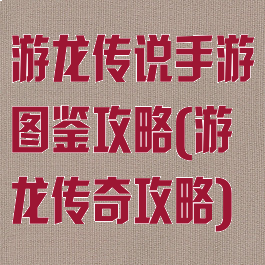 游龙传说手游图鉴攻略(游龙传奇攻略)