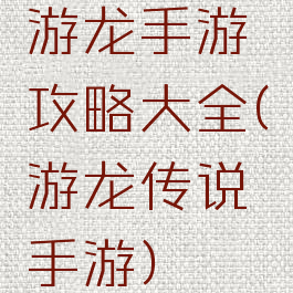 游龙手游攻略大全(游龙传说手游)