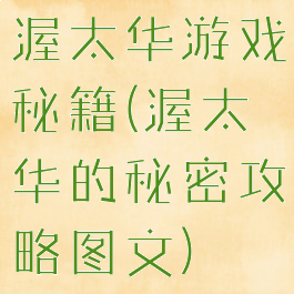 渥太华游戏秘籍(渥太华的秘密攻略图文)