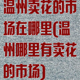 温州卖花的市场在哪里(温州哪里有卖花的市场)