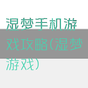 湿梦手机游戏攻略(湿梦游戏)