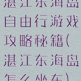 湛江东海岛自由行游戏攻略秘籍(湛江东海岛怎么坐车)