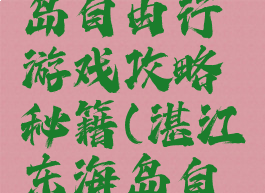湛江东海岛自由行游戏攻略秘籍(湛江东海岛自驾游攻略)