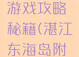 湛江东海岛自由行游戏攻略秘籍(湛江东海岛附近旅游景点)