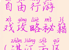 湛江东海岛自由行游戏攻略秘籍(湛江市区去东海岛)