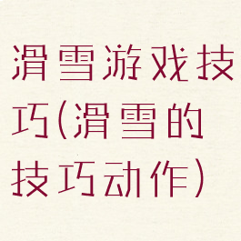 滑雪游戏技巧(滑雪的技巧动作)