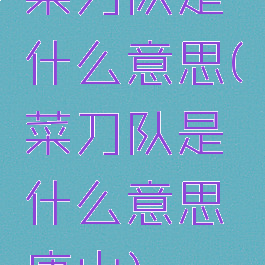 菜刀队是什么意思(菜刀队是什么意思唐山)