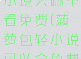 菠萝包的轻小说去哪里看免费(菠萝包轻小说可以全免费吗)