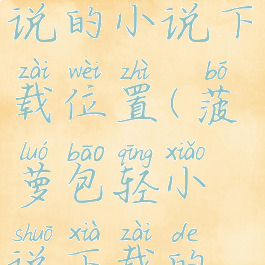 菠萝包轻小说的小说下载位置(菠萝包轻小说下载的文件在哪)