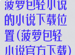 菠萝包轻小说的小说下载位置(菠萝包轻小说官方下载)