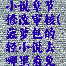 菠萝包轻小说章节修改审核(菠萝包的轻小说去哪里看免费)