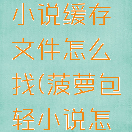 菠萝包轻小说缓存文件怎么找(菠萝包轻小说怎么看)