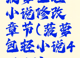 菠萝包轻小说修改章节(菠萝包轻小说4.6.14)