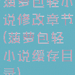 菠萝包轻小说修改章节(菠萝包轻小说缓存目录)