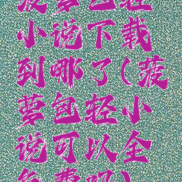 菠萝包轻小说下载到哪了(菠萝包轻小说可以全免费吗)