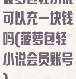 菠萝包轻小说可以充一块钱吗(菠萝包轻小说会员账号)