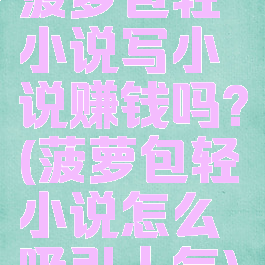 菠萝包轻小说写小说赚钱吗?(菠萝包轻小说怎么吸引人气)