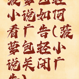 菠萝包轻小说如何看广告(菠萝包轻小说关闭广告)