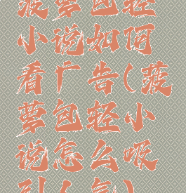 菠萝包轻小说如何看广告(菠萝包轻小说怎么吸引人气)
