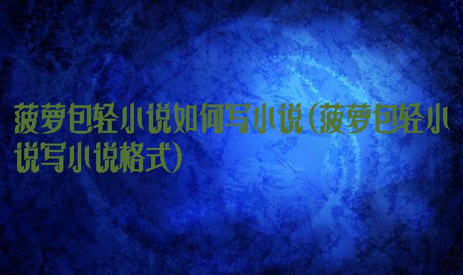 菠萝包轻小说如何写小说(菠萝包轻小说写小说格式)