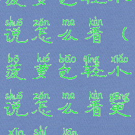 菠萝包轻小说怎么看(菠萝包轻小说怎么看更新时间)