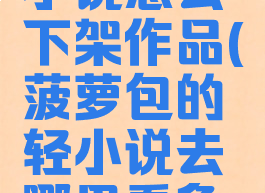 菠萝包轻小说怎么下架作品(菠萝包的轻小说去哪里看免费)