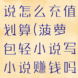 菠萝包轻小说怎么充值划算(菠萝包轻小说写小说赚钱吗?)