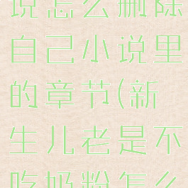 菠萝包轻小说怎么删除自己小说里的章节(新生儿老是不吃奶粉怎么办)