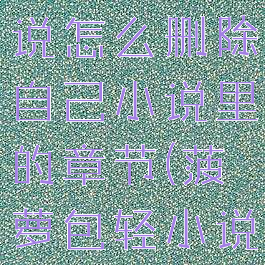 菠萝包轻小说怎么删除自己小说里的章节(菠萝包轻小说注销账号)