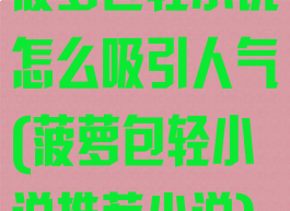 菠萝包轻小说怎么吸引人气(菠萝包轻小说推荐小说)