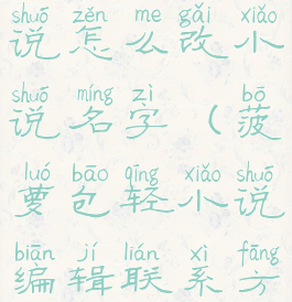 菠萝包轻小说怎么改小说名字(菠萝包轻小说编辑联系方式)