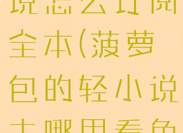 菠萝包轻小说怎么订阅全本(菠萝包的轻小说去哪里看免费)