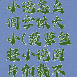 菠萝包轻小说怎么调字体大小(菠萝包轻小说图片加载不出来)