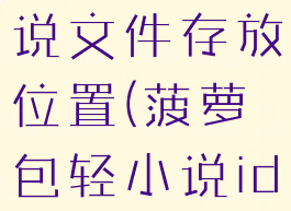 菠萝包轻小说文件存放位置(菠萝包轻小说id是什么)